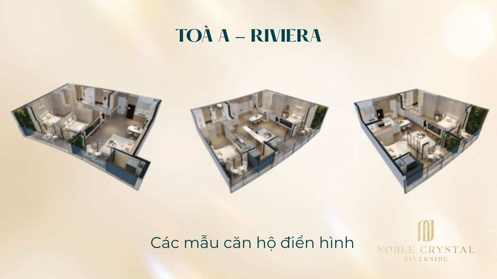 Các Loại Hình Căn Hộ Toà D (Riviera) Noble Crystal Riverside